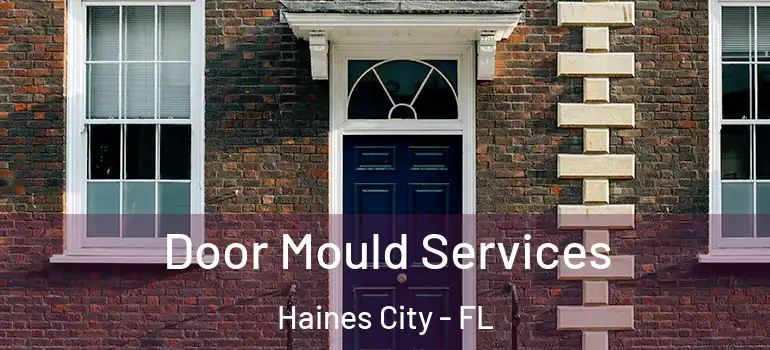  Door Mould Services Haines City - FL