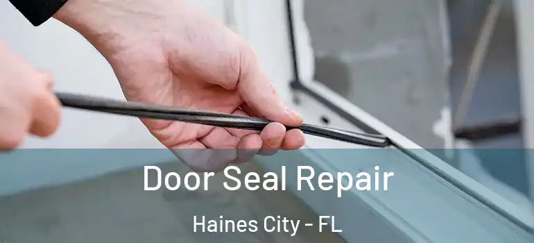  Door Seal Repair Haines City - FL