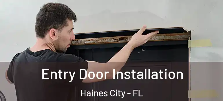  Entry Door Installation Haines City - FL