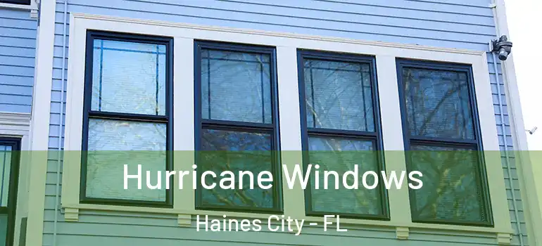  Hurricane Windows Haines City - FL