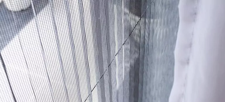 Fixing Screen Window Mesh in Haines City, FL