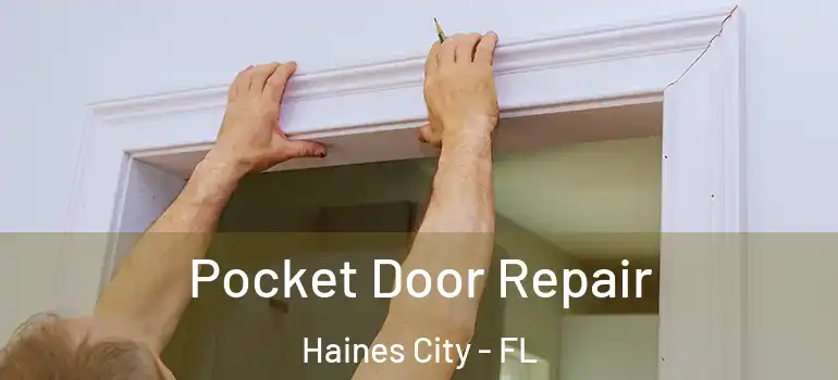  Pocket Door Repair Haines City - FL